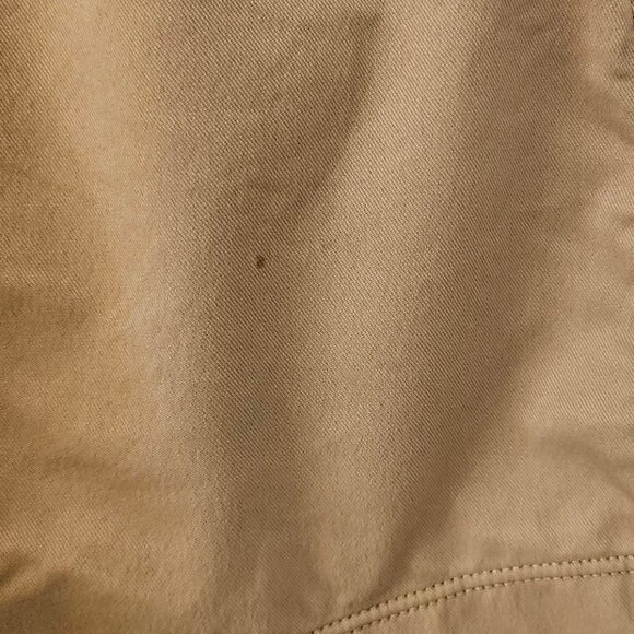 Bird Dogs Mens Teddy Rubskins Brown Lined, Stretch Shorts, Tan, Size L - Picture 3 of 10